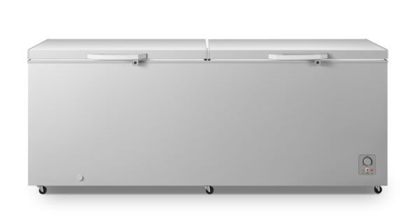 Hisense 702L Fast Freezer Double Door 91DD