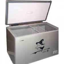 snowsea freezer 450GL